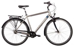 Carver Cityzen 110 Citybike Grau Modell 2022