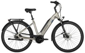 Carver Cityzen E.420 FL E-Bike Grau Modell 2021