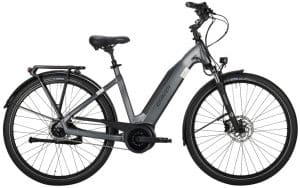 Carver Cityzen E.440 FL E-Bike Grau Modell 2021