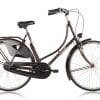 Passat Classic 26 3 ND Hollandrad Rot Modell 2022