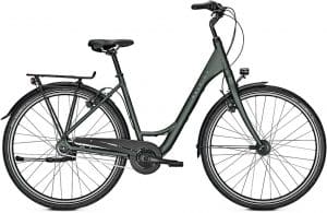 Raleigh Devon 8 Citybike Grün Modell 2022