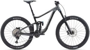 Giant Reign 29 1 Mountainbike Grau Modell 2021