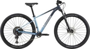 Cannondale Trail SL 3 Mountainbike Grau Modell 2022