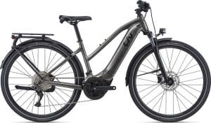 Liv Amiti-E+ 1 E-Bike Grau Modell 2022