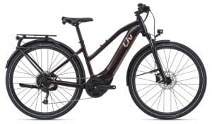Liv Amiti-E+ 2 E-Bike Braun Modell 2021