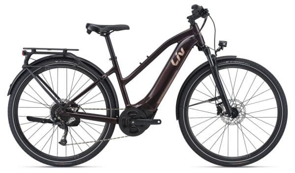 Liv Amiti-E+ 2 E-Bike Braun Modell 2021