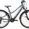 S'cool e-troX 26-7S E-Bike Grau Modell 2022