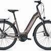 Raleigh Bristol Premium - Rücktritt E-Bike Grau Modell 2022