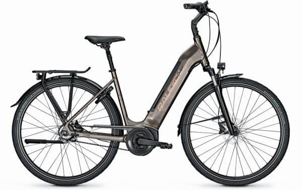 Raleigh Bristol Premium - Rücktritt E-Bike Grau Modell 2022