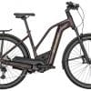 Bergamont E-Horizon Premium Expert E-Bike Rot Modell 2022