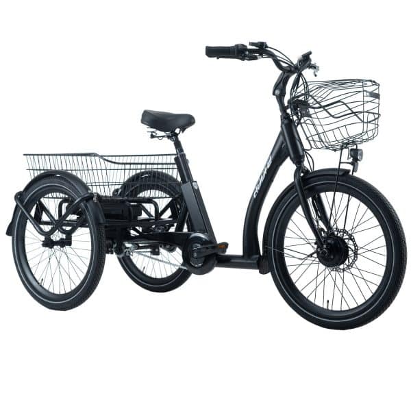 Adore Lastenrad E-Bike 24 Zoll Swing