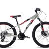Axess STIPE PRO 24 | 24 Zoll | grey/black/red | 12 Zoll Radgröße