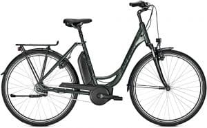 Raleigh Jersey 7 E-Bike Grün Modell 2022