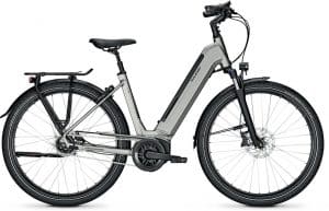 Raleigh Bristol XXL E-Bike Grau Modell 2022