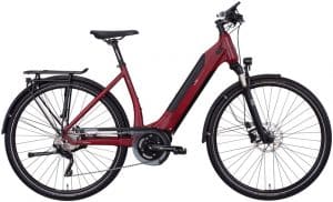 E-Bike Manufaktur 13ZEHN E-Bike Rot Modell 2019