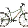 Academy Grade 5 2023 | 24 Zoll | olive | 38 cm Radgröße