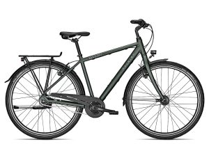 Raleigh DEVON 8 2022 | 28 Zoll | techgreen matt | 55 cm Radgröße