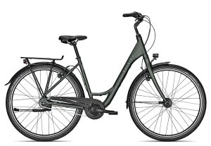 Raleigh DEVON 8 Wave 2022 | 28 Zoll | techgreen matt | 55 cm Radgröße