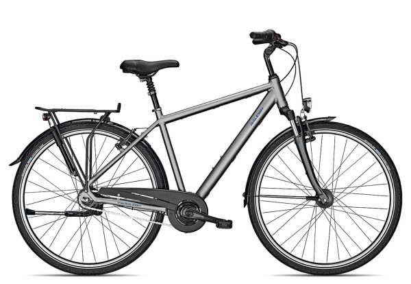 Raleigh CHESTER 8 R | 28 Zoll | steelgrey matt | 55 cm Radgröße