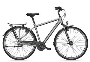 Raleigh CHESTER 8 R | 28 Zoll | steelgrey matt | 50 cm Radgröße