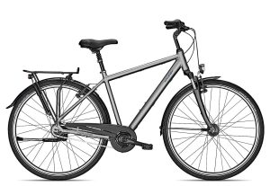 Raleigh CHESTER 8 R | 28 Zoll | steelgrey matt | 60 cm Radgröße