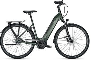 Raleigh Bristol 8 E-Bike Grün Modell 2022