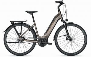 Raleigh Bristol Premium - Freilauf E-Bike Grau Modell 2022
