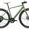 Orbea Vibe H10 MUD E-Bike Grün Modell 2021