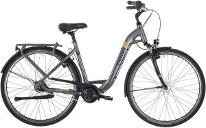 Carver Cityzen 140 LTD RT Citybike Grau Modell 2023