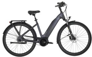 Carver Cityzen E.420 FL E-Bike Grau Modell 2023