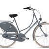 Maxim Amsterdam | 28 Zoll | dolphin grey pink | 55 cm Radgröße