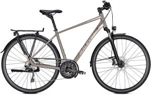 Raleigh Rushhour 6.0 Trekkingrad Grau Modell 2022