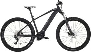 Carver Strict E.410 E-Bike Grau Modell 2023