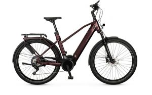 E-Bike Manufaktur 13ZEHN E-Bike Rot Modell 2022