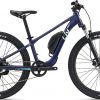 Liv Tempt E+ Junior 26 E-Bike Lila Modell 2023