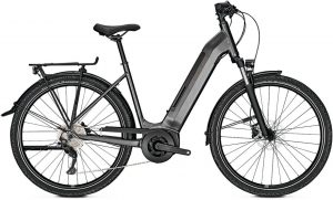 Focus Planet2 5.9 E-Bike Schwarz Modell 2022