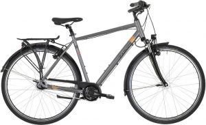 Carver Cityzen 130 Citybike Grau Modell 2023