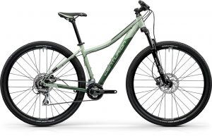 Centurion Backfire Fit Comp 50.29 Mountainbike Grün Modell 2022