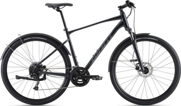 Giant Roam EX Crossbike Grau Modell 2022