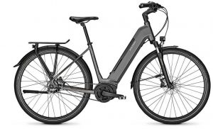Raleigh Kent Premium E-Bike Grau Modell 2022