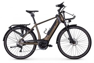 E-Bike Manufaktur 19ZEHN E-Bike Grün Modell 2019