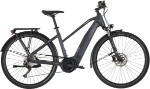 Carver Route E.430 E-Bike Grau Modell 2023