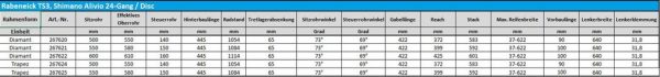 Rabeneick TS3 Trekkingrad Grau Modell 2021