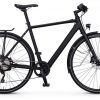 Rabeneick TS-E Disc E-Bike Schwarz Modell 2020
