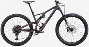 Specialized Stumpjumper Comp Carbon Evo 29 Mountainbike Schwarz Modell 2020