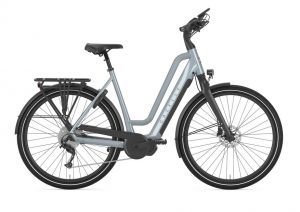 Gazelle Chamonix T10 HMS E-Bike Grau Modell 2023