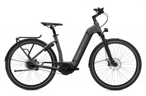 Flyer Gotour6 3.40 E-Bike Grau Modell 2023