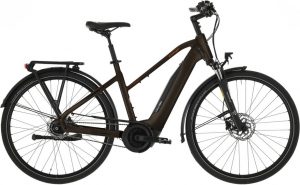 Carver Tour E.410 E-Bike Braun Modell 2023