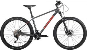 Carver Strict 140 Mountainbike Grau Modell 2020