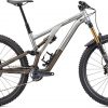 Specialized Stumpjumper Evo Elite Alloy Mountainbike Silber Modell 2022
